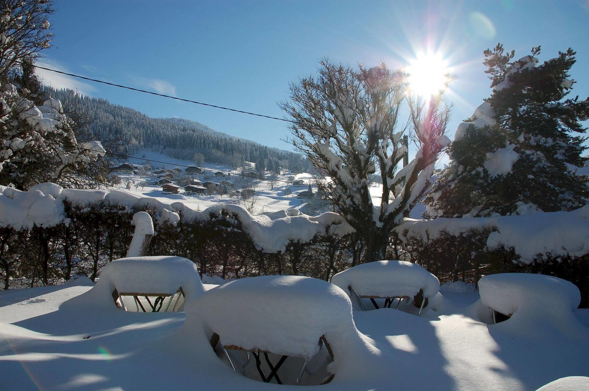 Logis Hôtel Le Caprice Des Neiges Combloux Buitenkant foto